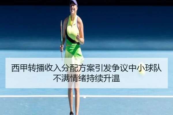 西甲转播收入分配方案引发争议中小球队不满情绪持续升温
